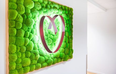 Zentrum für Kardiologie - kreative Variation des Logos auf einer Mooswand