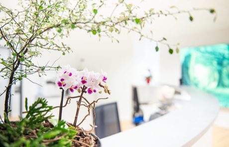 Zentrum für Kardiologie - Rezeption mit Blumentopf im Vordergrund
