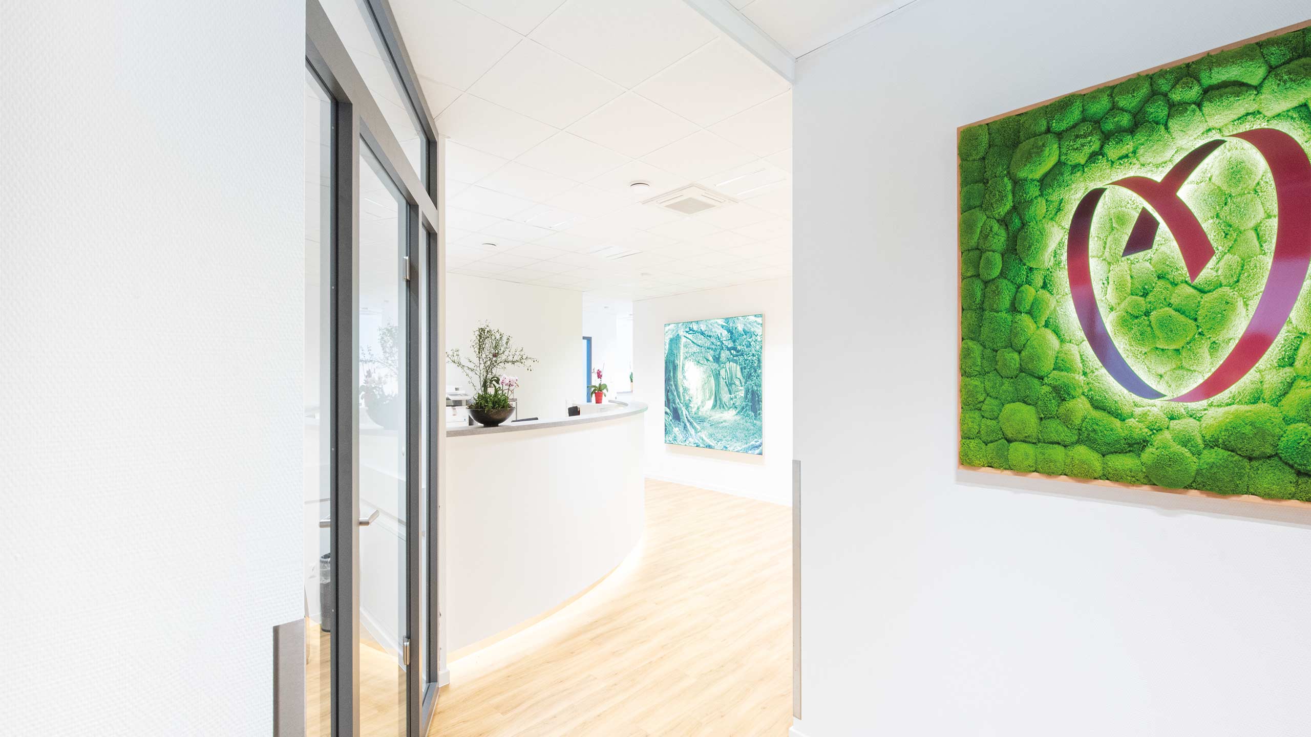Zentrum für Kardiologie Eingangsbereich mit Rezeption und kreativer Variation des Logos auf einer Mooswand
